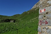 82 Sul sent. 231 alla Casera di Vedro (1674 m)